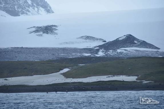 Muito gelo e neve em Salisbury Plain, na Geórgia do Sul
